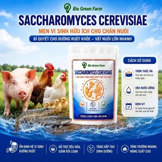 Nấm men tiêu Saccharomyces Cerevisiae 500gr ngừa phân trắng phòng phân lỏng ức chế khuẩn ruột trên tôm cá ếch ốc lươn
