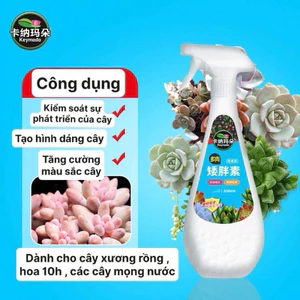 Thuốc Làm Lùn Mọng Nước Cho Cây 300ml Dạng Xịt Trực Tiếp Phù Hợp Cho Sen Đá Hoa 10h Cây Xương Rồng