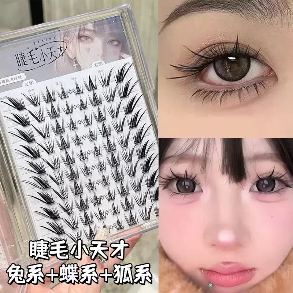 Mi Giả, Mi Cụm Tia Đậm G118