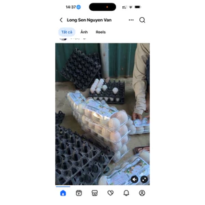 trứng vịt sạch