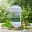 - NƯỚC SÚC MIỆNG ĐÔNG Y THẾ HỆ 2A