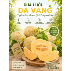 DƯA LƯỚI DA VÀNG HOÀNG KIM - BAO NGỌT HÀNG ĐẸP - TRÁI VỪA NẶNG THỊT - 2,3KG - 2,5KG