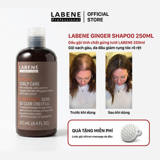 Dầu gội tinh chất gừng tươi Ginger Shampoo 250ml làm sạch da đầu chống rụng tóc &kích mọc tóc | LABENE