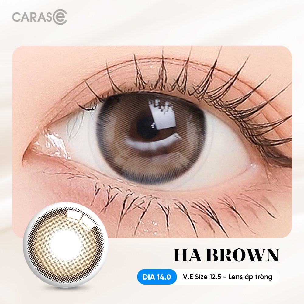[1 chiếc] Kính áp tròng khoá ẩm 1 Ngày Màu Nâu Sữa CARASE, Lens cận HA BROWN