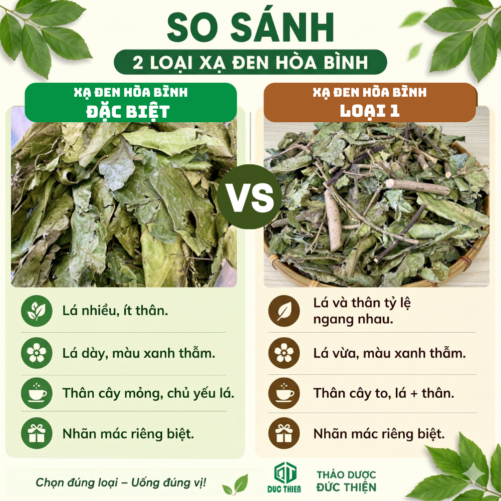 Xạ Đen Hòa Bình Loại 1 Đức Thiện (Khô, Sạch, Thơm) - Hỗ Trợ, Ngăn Ngừa Các Loại Ung Thư, Ngủ Ngon