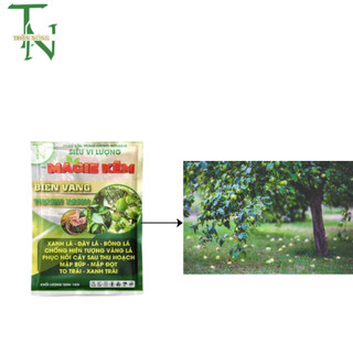 Magie Kẽm TN - 1Kg -  Biến vàng thành xanh