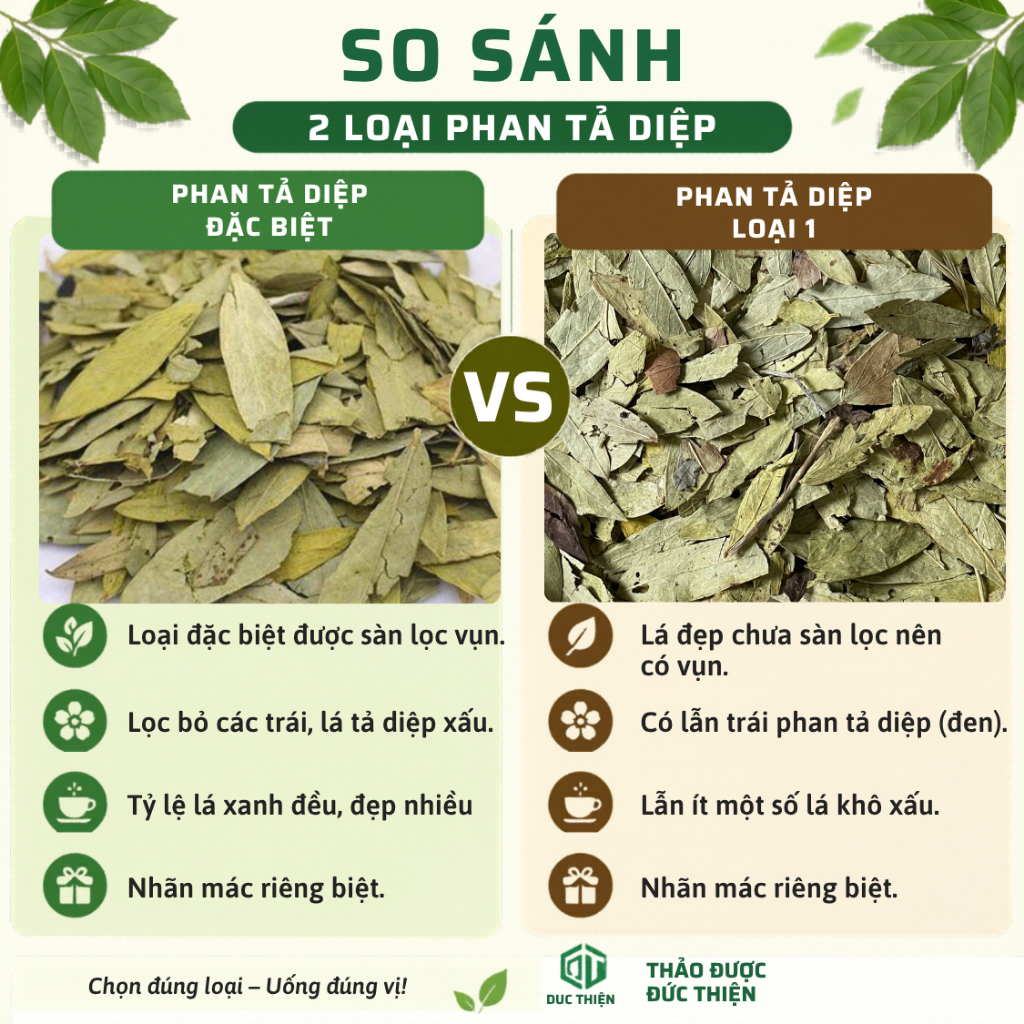 100g, 250g, 500g Phan Tả Diệp Loại 1 Đức Thiện (Khô, Sạch, Thơm) - Tốt Cho Tiêu Hóa