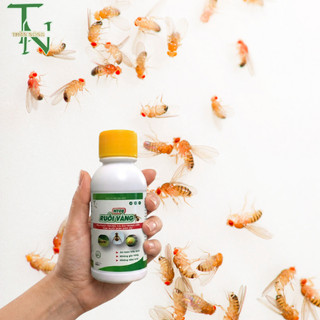 Ruồi Vàng HT08 TN - 100ml - Dứt điểm ruồi vàng