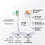 Combo 6 Đầu Bàn Chải 9pmcare Tương Thích Philips Sonicare (2 AIO Sạch Sâu & 4 US Siêu Mềm)