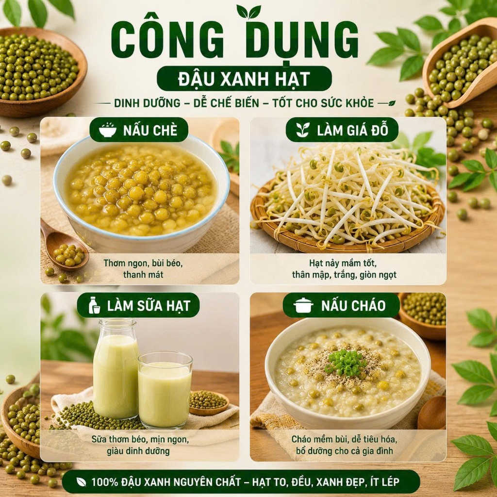 [Sỉ] Đậu Xanh Nguyên Hạt Bao Lớn – Hạt Đẹp Ít Lép – Dùng Gia Đình / Kinh Doanh