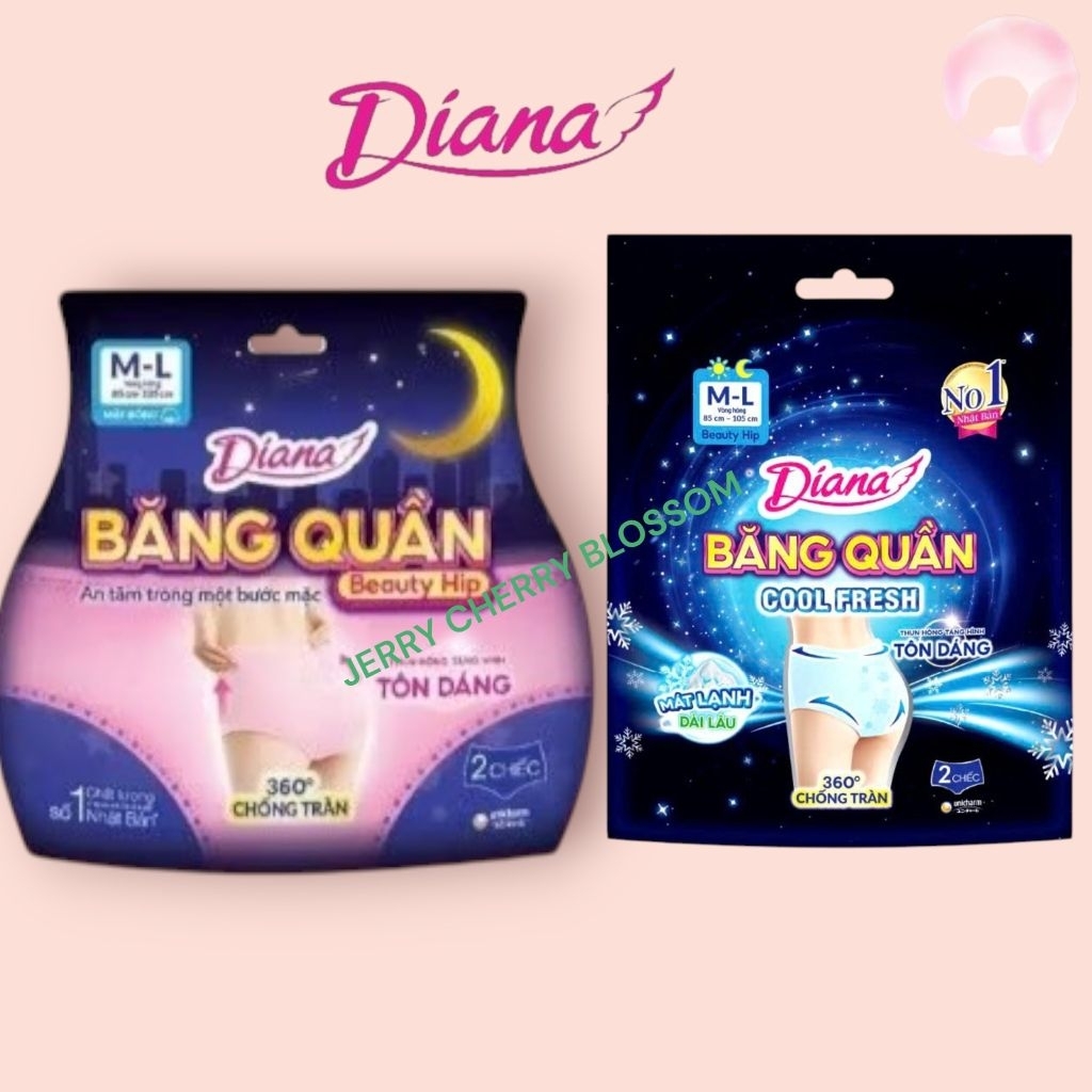 1 gói Băng vệ sinh dạng quần Diana Beauty hip/(cool) size SM/ML/XL 2 chiếc