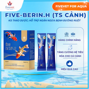 Men Vi Sinh Thảo Dược Hỗ Trợ Đường Ruột Cá Cảnh FIVEVET – Five-Berin.H TS CẢNH