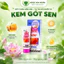 Kem Gót Sen Thái Dương – Hỗ Trợ Làm Mềm Da Gót Chân Khô Ráp, Nứt Nẻ - Tuýp 20g