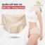 Quần Lót Nữ AMYBRA Đúc Su Mịn Thoáng Khí, Quần Chip Nữ Cạp Vừa Đáy Dán Kháng Khuẩn L059