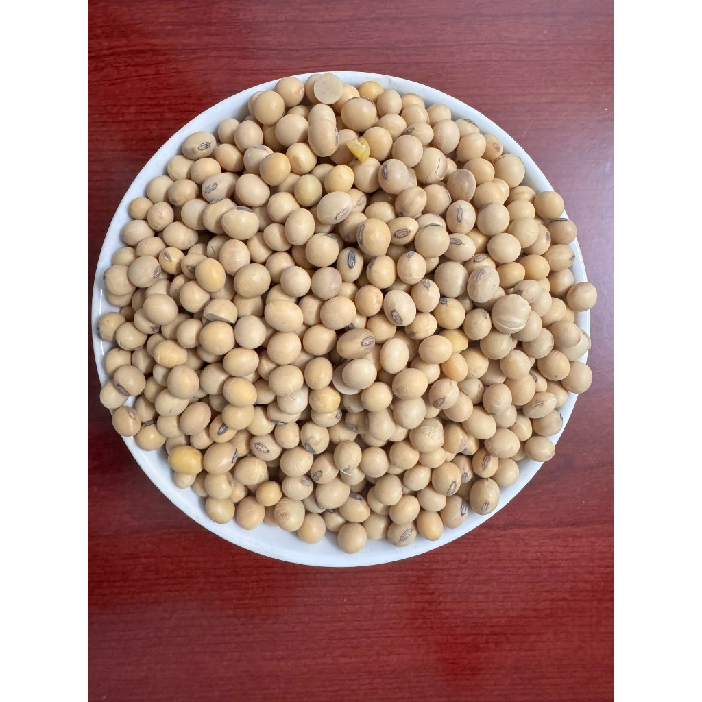 Đậu Nành Loại 1 Hạt To Sạch Thơm Béo Làm Sữa Hạt Ngũ Cốc