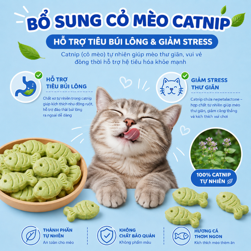 Bánh Cá Thưởng Cho Mèo Matchwell 40g – Snack Catnip, Bổ Sung Canxi, Hỗ Trợ Tiêu Búi Lông, Sạch Răng