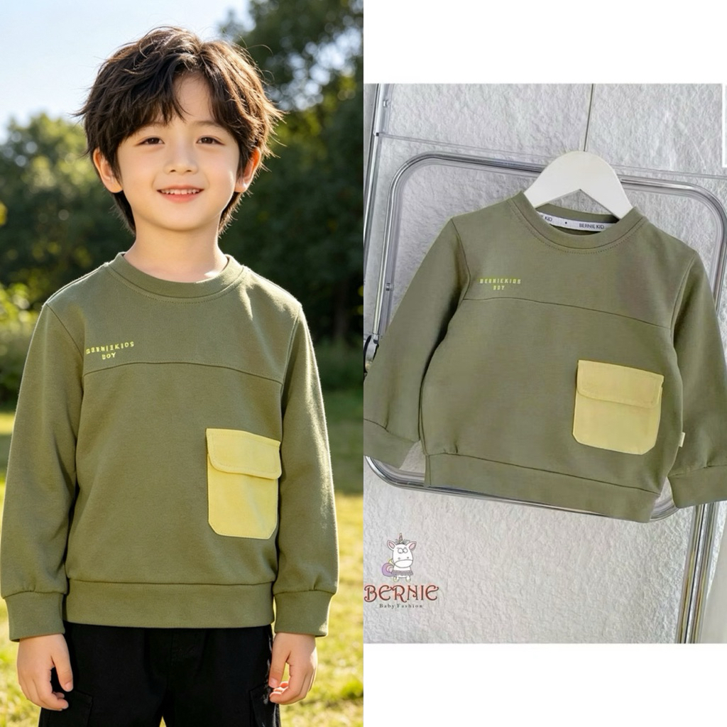 Áo và bộ đồ bé trai dài tay thu đông Bernie cho bé 9–24kg (size 80–130), set quần áo trẻ em ấm áp mùa lạnh