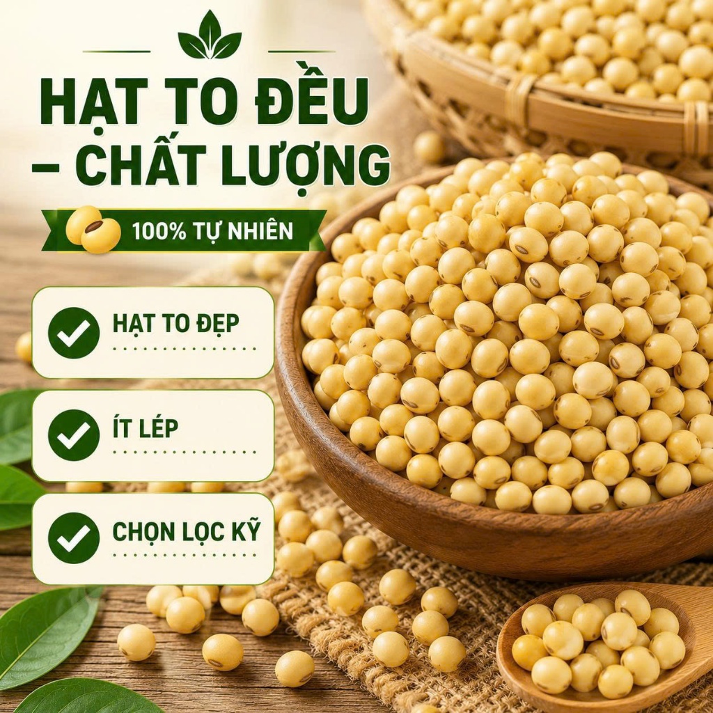 Đậu Nành Loại 1 Hạt To Sạch Thơm Béo Làm Sữa Hạt Ngũ Cốc