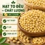 Đậu Nành Hạt Đẹp Ít Lép Thơm Bùi Tự Nhiên Đóng Gói Kỹ Giá Tốt Dùng Gia Đình Kinh Doanh