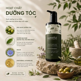 Dầu Gội Thảo Dược Herbal Shampoo 330ml | Giảm Gãy Rụng, Làm Sạch Dịu Nhẹ, Dưỡng Tóc Mềm Mượt | Không Sulfate, Silicone