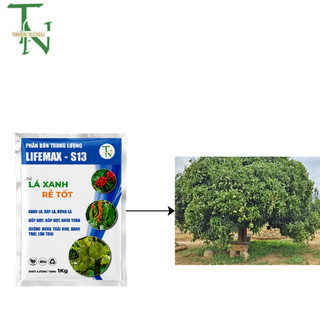 Phân Bón Trung Lượng - Lá Xanh Rễ Tốt - Combi 500g Bật mầm, hồi phục ,xanh lá , phát triển toàn diện