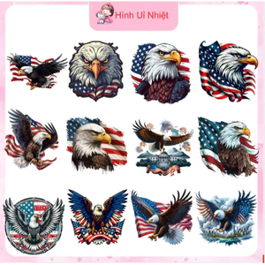 Hình in patch ủi nhiệt quần áo,mâũ đại bàng ủi tại nhà bằng bàn ủi,thao tác đơn giản,nhiều mẫu nhiều size
