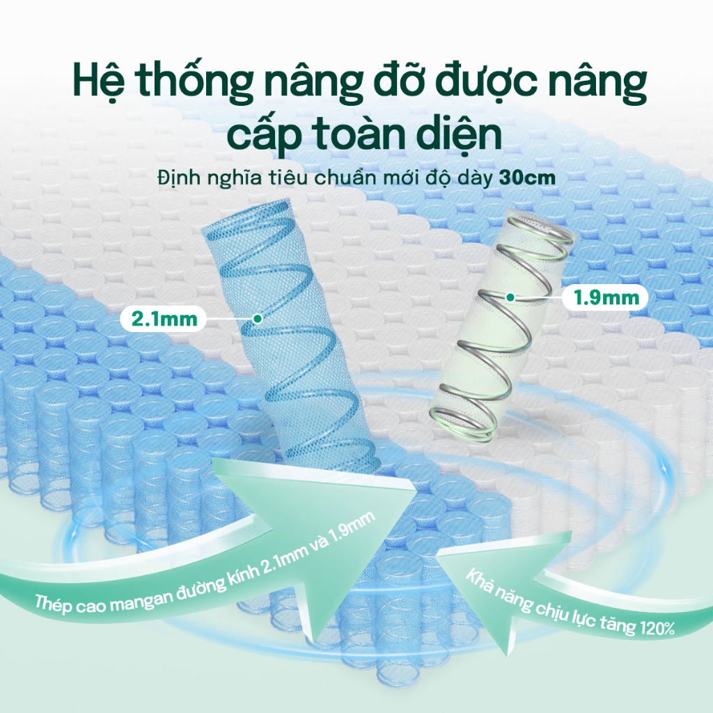 Nệm lò xo cao cấp MossWood 30cm mát lạnh mùa hè | Hỗ trợ nâng đỡ 5 vùng, giảm đau mỏi lưng cổ, tiêu chuẩn 5 sao