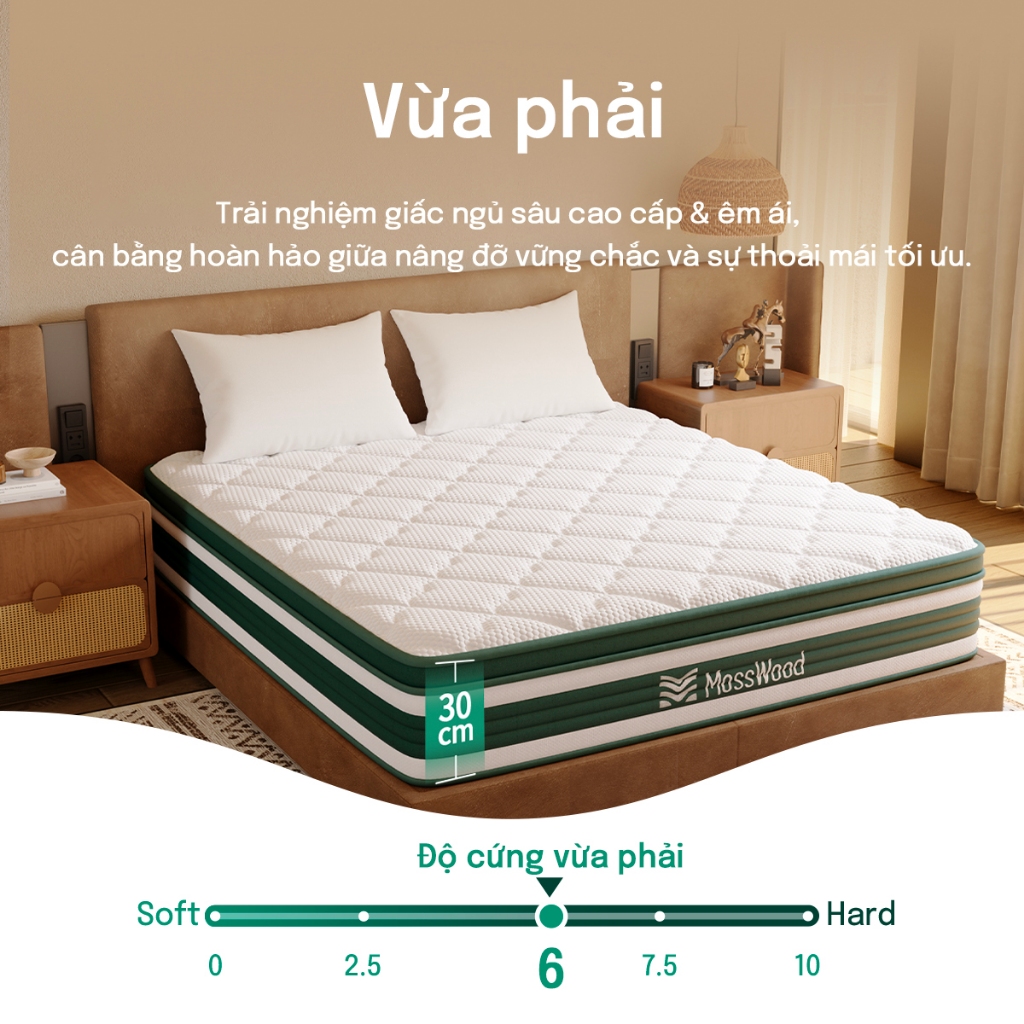 Nệm lò xo cao cấp MossWood 30cm mát lạnh mùa hè | Hỗ trợ nâng đỡ 5 vùng, giảm đau mỏi lưng cổ, tiêu chuẩn 5 sao