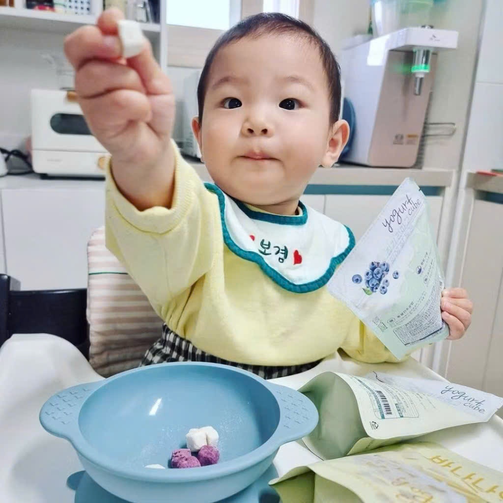 Phô Mai Khô Sấy Lạnh Bebedang 16g Hàn Quốc. Hương Vị Trái Cây Thơm Ngon
