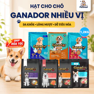 1,2Kg Thức ăn hạt Ganador cho chó đa dạng hương vị giúp thú cưng cơ xương và bộ lông khỏe mạnh Pet Kool