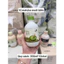 Trà sữa Hey Tea 5 vị Táo/Matcha/Nhài/Matcha Mặn/Mặn Tây Tạng không đường ít calo bán cả sỉ và lẻ