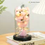 Bộ Hoa Hồng Bất Tử Mini Kèm Đèn LED & Túi Quà – Quà Tặng Valentine, 8/3 Cho Người Bạn Yêu Thương