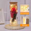 Bộ Hoa Hồng Bất Tử Mini Kèm Đèn LED & Túi Quà – Quà Tặng Valentine, 8/3 Cho Người Bạn Yêu Thương