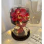 Bộ Hoa Hồng Bất Tử Mini Kèm Đèn LED & Túi Quà – Quà Tặng Valentine, 8/3 Cho Người Bạn Yêu Thương