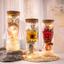 Bộ Hoa Hồng Bất Tử Mini Kèm Đèn LED & Túi Quà – Quà Tặng Valentine, 8/3 Cho Người Bạn Yêu Thương