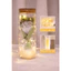 Bộ Hoa Hồng Bất Tử Mini Kèm Đèn LED & Túi Quà – Quà Tặng Valentine, 8/3 Cho Người Bạn Yêu Thương