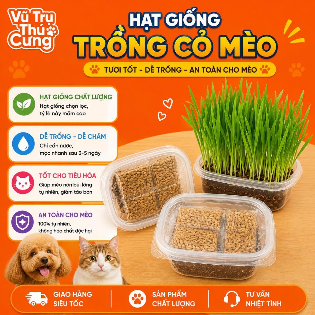 Hạt giống cỏ mèo tiêu búi lông, giảm hôi miệng, giải toả căng thẳng cho Mèo