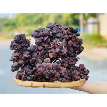 Nấm Linh Chi Cổ Cò Chuẩn Rừng Lai Châu | Nấm Khô Tự Nhiên Giữ Trọn Vị Thơm Đậm Chất Nấm Rừng 500gr