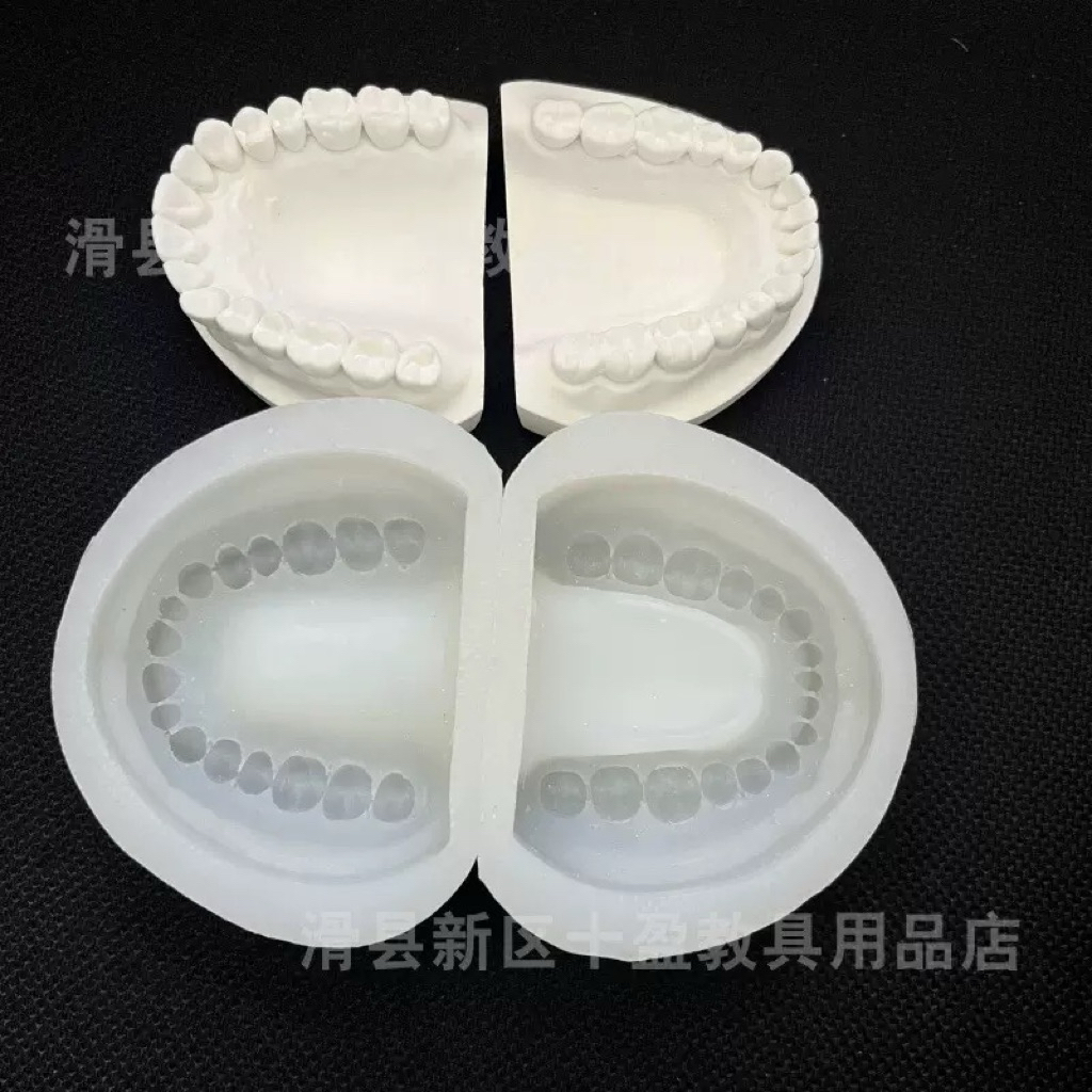 1kg thạch cao nha khoa đổ mô hình răng sứ y khoa