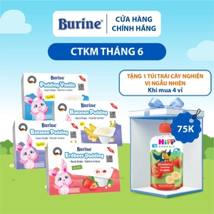 Pudding Burine Ăn Dặm Đủ Vị Bổ sung năng lượng dành cho bé từ 6 tháng tuổi - Nhập khẩu Đức