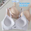Áo Ngực Nữ chất su đúc mút mỏng không gong, Áo Lót Bra Nữ gom quả chống xệ thoáng mát ZANABRA A960