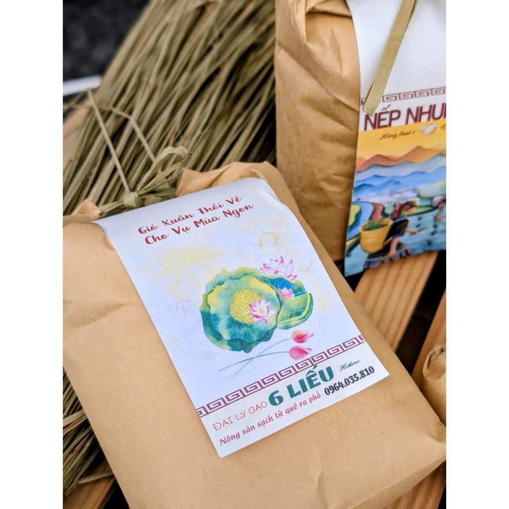 3kg Nếp Nhung Đồi hạt tròn mập ( xuất xứ BẮC BỘ ) - HÀNG CHUẨN LOẠI 1 - Xôi đậm đà, kết dính keo dẻo sâu, thơm ngon