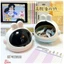 Kệ Thỏ Đựng Phụ Kiện Để Bàn Dễ Thương, Giá Treo Trang Sức Kẹp Tóc Chun Buộc Tóc Decor Phòng Ngủ