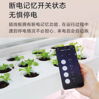Ổ cắm điện Wifi Tuya Smart - Điều khiển hẹn giờ, bật tắt qua APP kết nối wifi độc lập từng ổ