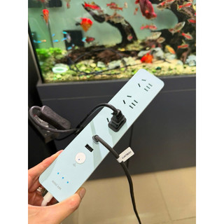 Ổ cắm điện Wifi Tuya Smart - Điều khiển hẹn giờ, bật tắt qua APP kết nối wifi độc lập từng ổ