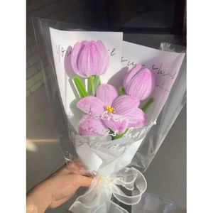 Hoa Nào Rồi Cũng Sẽ Phai, Chỉ Có Hoa Kẽm Nhung Hoài Đẹp Xinh! 🌹