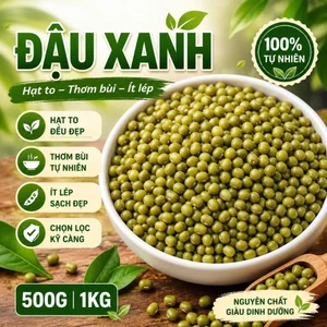 Đậu Xanh Nguyên Hạt Hạt Đều Ít Lép Nấu Chè Làm Sữa Hạt Giá Đỗ