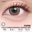 Lens cận 1 ngày VIVIVIMOON, kính áp tròng khóa ẩm màu Kitten Eyes Brown, Pebble, Sincere Gray, Toffee