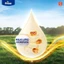 Combo 2 Lon Sữa Bột Friso Pro 3 800G cho trẻ trên 2 tuổi