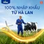 Combo 2 Lon Sữa Bột Friso Pro 3 800G cho trẻ trên 2 tuổi